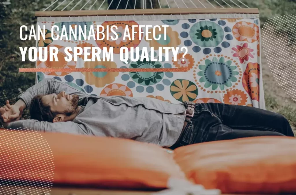 cannabis and sperm quality